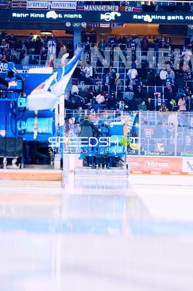 Adler Mannheim vs Schwenninger Wild Wings | 19.01.2024