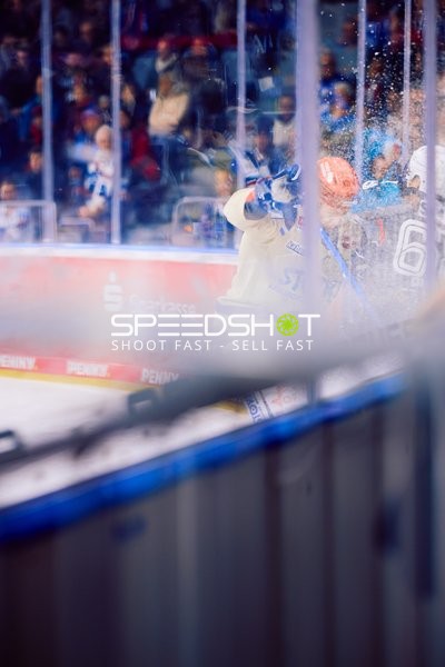 Adler Mannheim vs Schwenninger Wild Wings | 19.01.2024