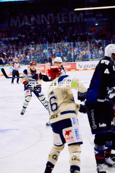 Adler Mannheim vs Schwenninger Wild Wings | 19.01.2024
