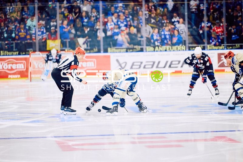 Adler Mannheim vs Schwenninger Wild Wings | 19.01.2024