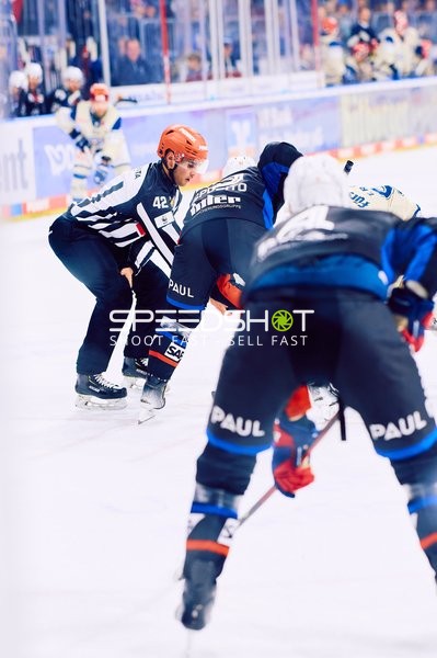 Adler Mannheim vs Schwenninger Wild Wings | 19.01.2024