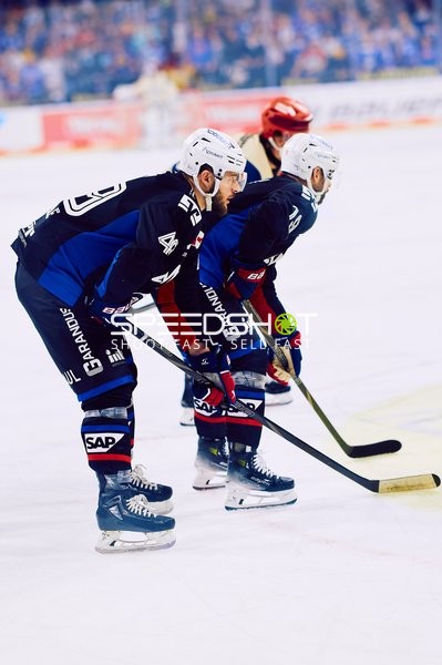 Adler Mannheim vs Schwenninger Wild Wings | 19.01.2024