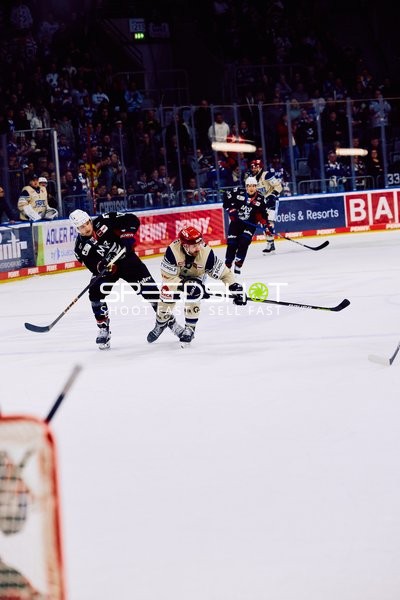Adler Mannheim vs Schwenninger Wild Wings | 19.01.2024