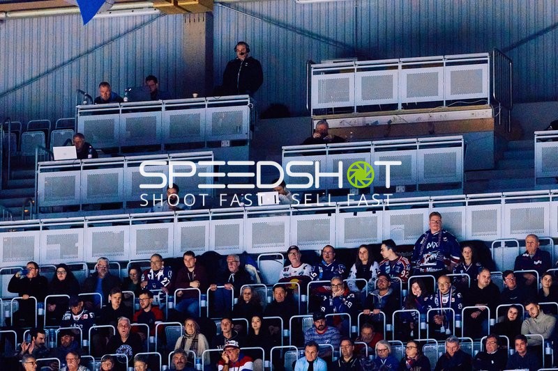 Adler Mannheim vs Schwenninger Wild Wings | 19.01.2024