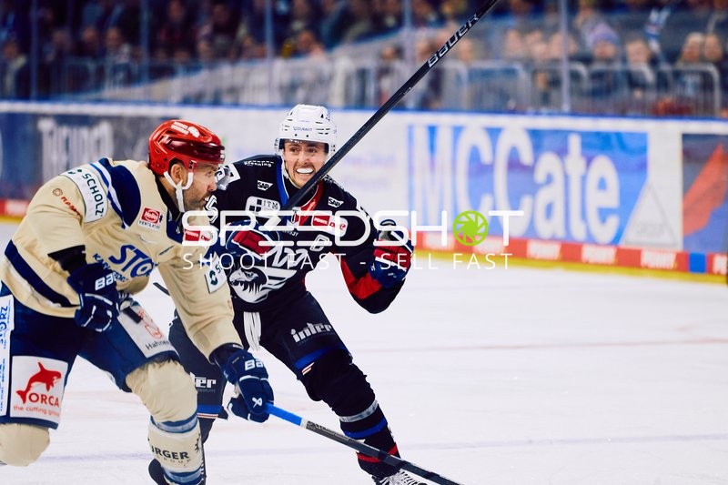 Adler Mannheim vs Schwenninger Wild Wings | 19.01.2024