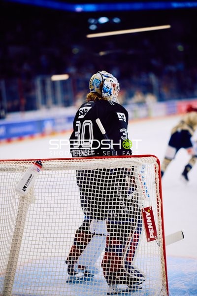Adler Mannheim vs Schwenninger Wild Wings | 19.01.2024