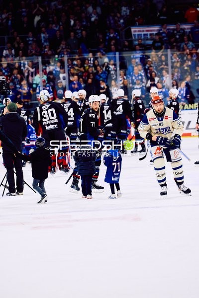 Adler Mannheim vs Schwenninger Wild Wings | 19.01.2024