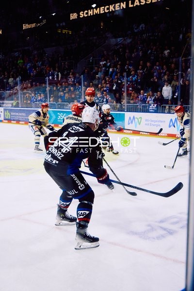 Adler Mannheim vs Schwenninger Wild Wings | 19.01.2024