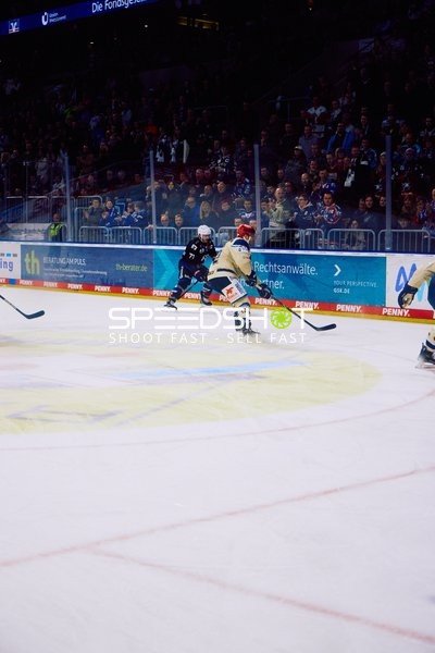 Adler Mannheim vs Schwenninger Wild Wings | 19.01.2024