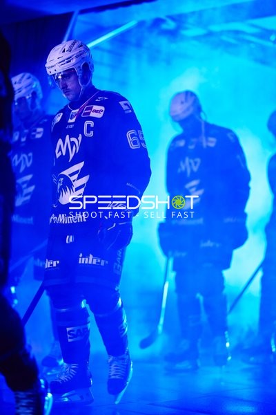 Adler Mannheim vs Schwenninger Wild Wings | 19.01.2024