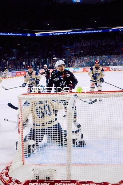 Adler Mannheim vs Schwenninger Wild Wings | 19.01.2024