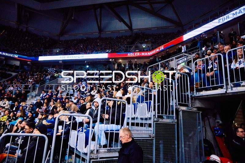 Adler Mannheim vs Schwenninger Wild Wings | 19.01.2024