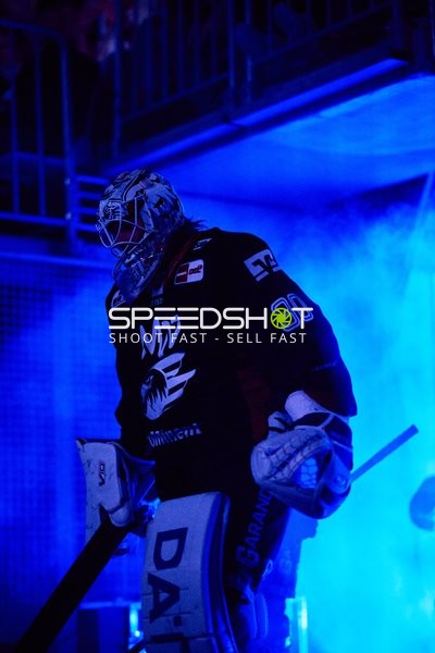 Adler Mannheim vs Schwenninger Wild Wings | 19.01.2024