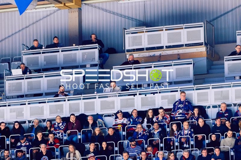 Adler Mannheim vs Schwenninger Wild Wings | 19.01.2024