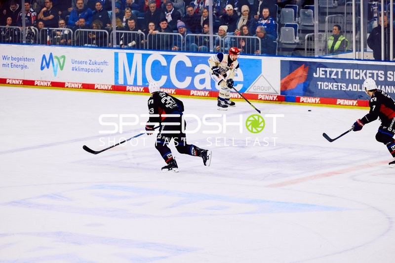 Adler Mannheim vs Schwenninger Wild Wings | 19.01.2024