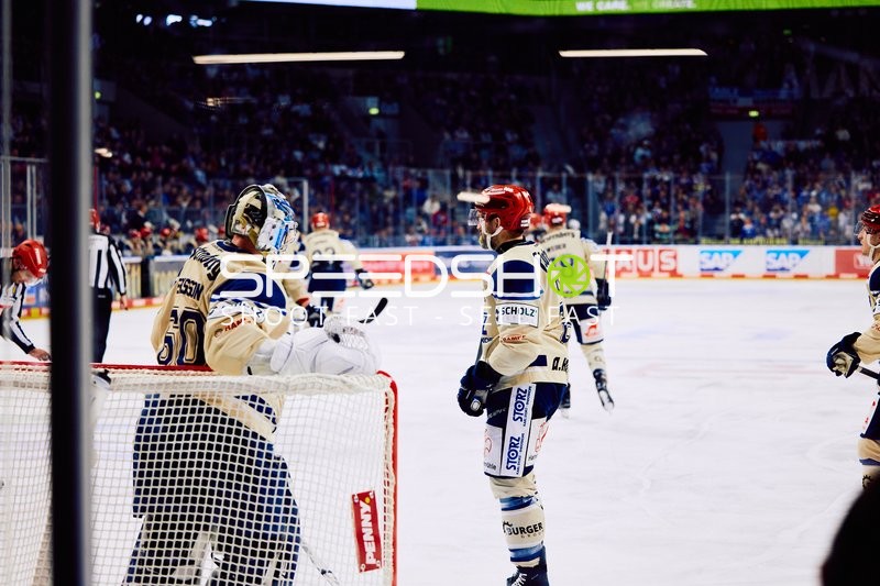 Adler Mannheim vs Schwenninger Wild Wings | 19.01.2024