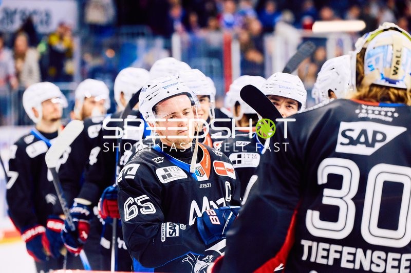 Adler Mannheim vs Schwenninger Wild Wings | 19.01.2024