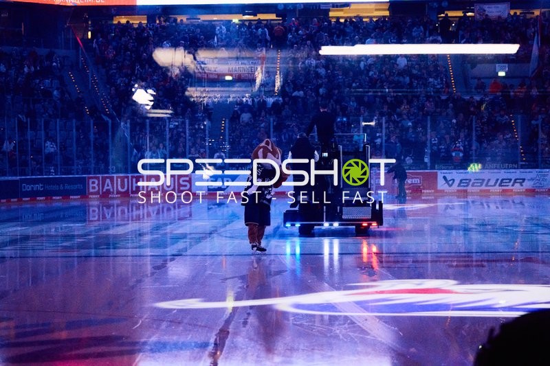 Adler Mannheim vs Schwenninger Wild Wings | 19.01.2024