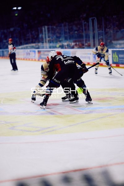 Adler Mannheim vs Schwenninger Wild Wings | 19.01.2024