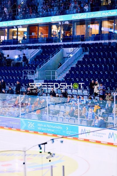 Adler Mannheim vs Schwenninger Wild Wings | 19.01.2024