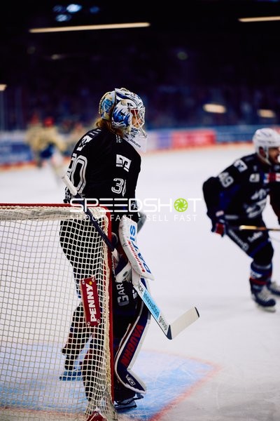 Adler Mannheim vs Schwenninger Wild Wings | 19.01.2024