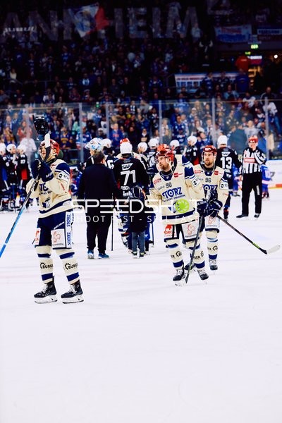 Adler Mannheim vs Schwenninger Wild Wings | 19.01.2024