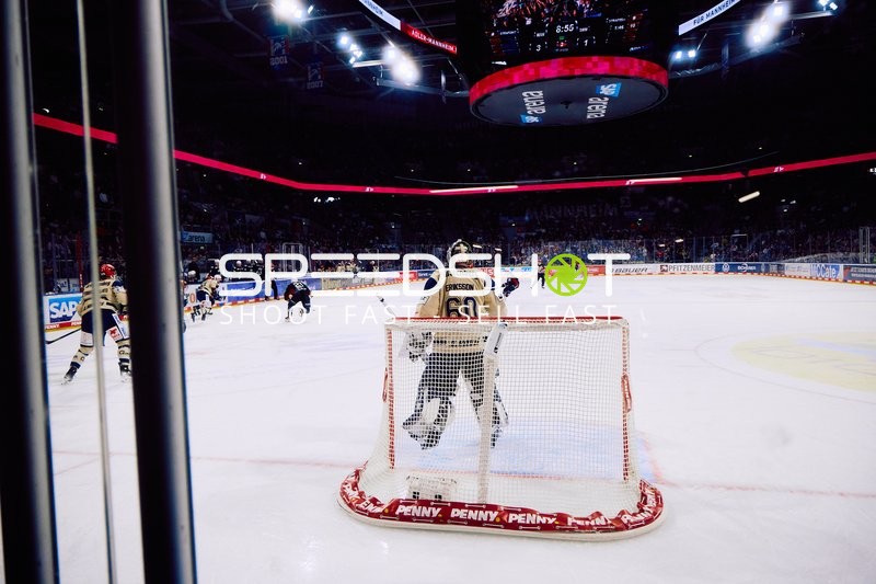 Adler Mannheim vs Schwenninger Wild Wings | 19.01.2024