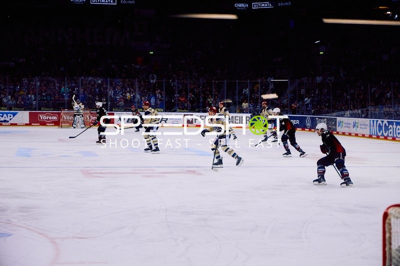 Adler Mannheim vs Schwenninger Wild Wings | 19.01.2024