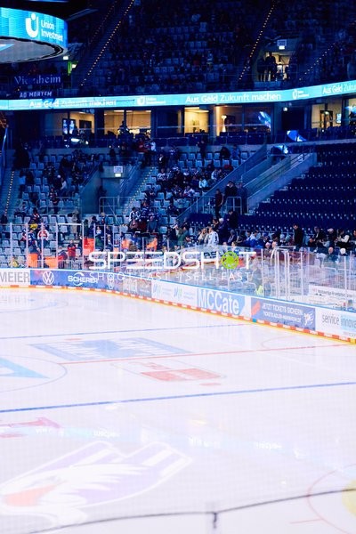 Adler Mannheim vs Schwenninger Wild Wings | 19.01.2024