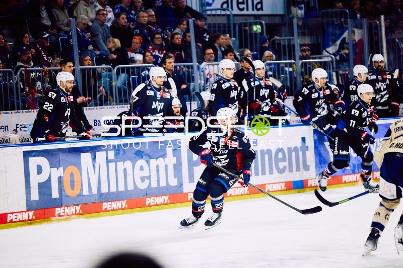 Adler Mannheim vs Schwenninger Wild Wings | 19.01.2024