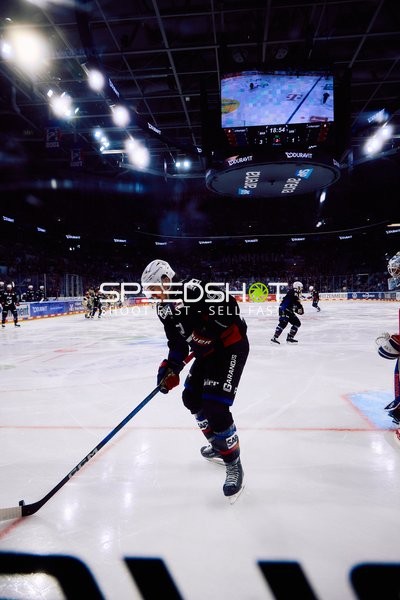 Adler Mannheim vs Schwenninger Wild Wings | 19.01.2024