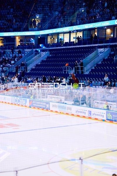 Adler Mannheim vs Schwenninger Wild Wings | 19.01.2024