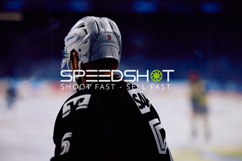 Adler Mannheim vs Schwenninger Wild Wings | 19.01.2024