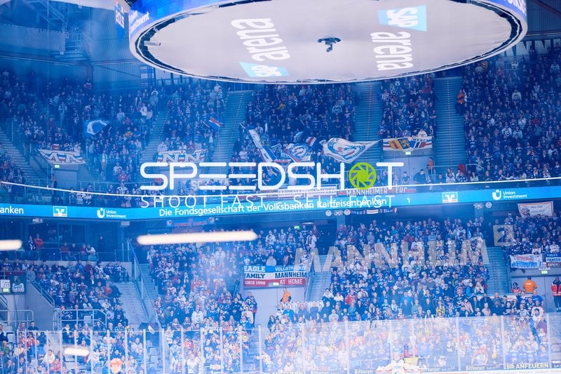 Adler Mannheim vs Schwenninger Wild Wings | 19.01.2024