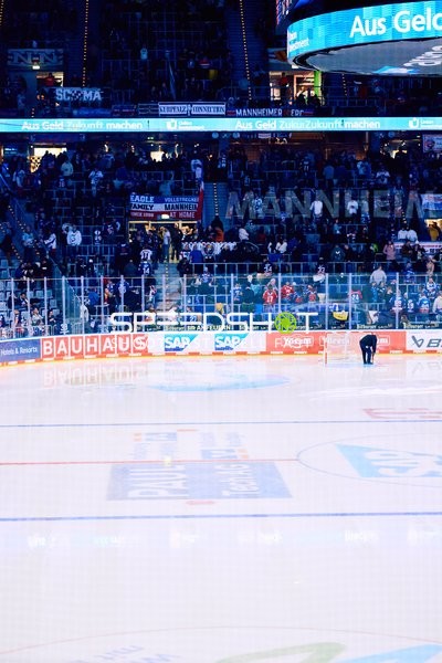 Adler Mannheim vs Schwenninger Wild Wings | 19.01.2024