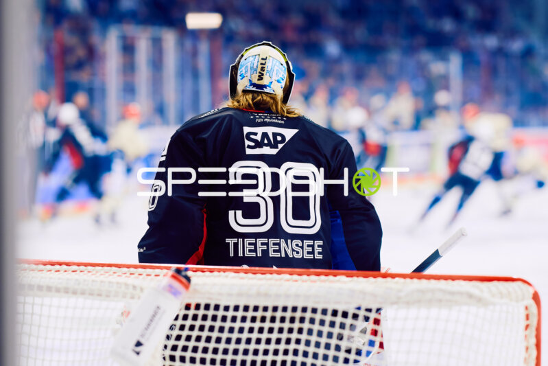 Adler Mannheim vs Schwenninger Wild Wings | 19.01.2024