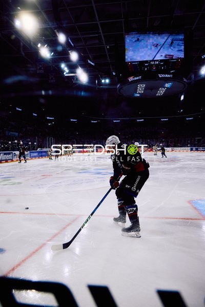 Adler Mannheim vs Schwenninger Wild Wings | 19.01.2024