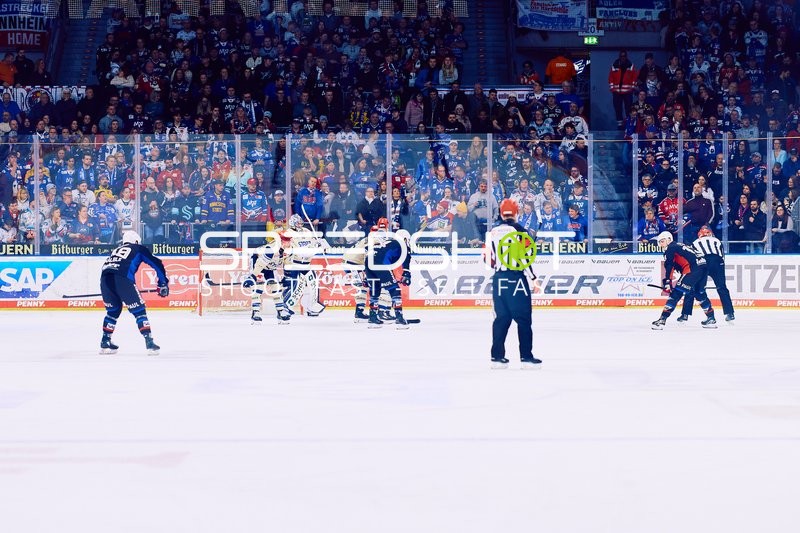 Adler Mannheim vs Schwenninger Wild Wings | 19.01.2024
