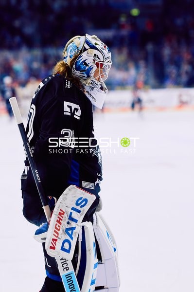 Adler Mannheim vs Schwenninger Wild Wings | 19.01.2024