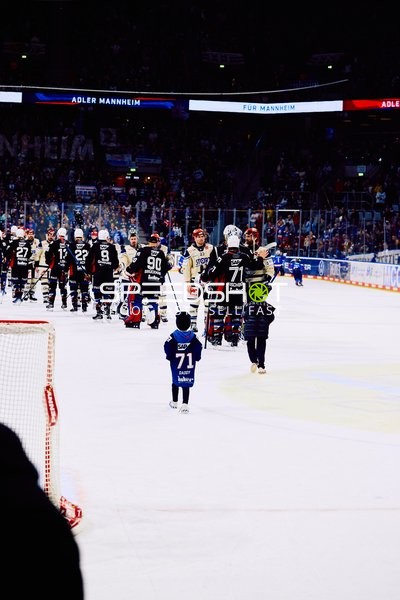 Adler Mannheim vs Schwenninger Wild Wings | 19.01.2024