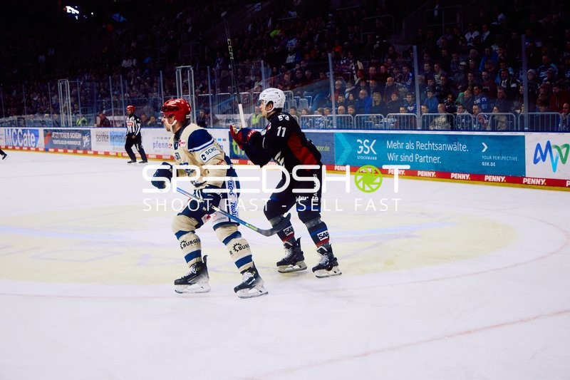 Adler Mannheim vs Schwenninger Wild Wings | 19.01.2024