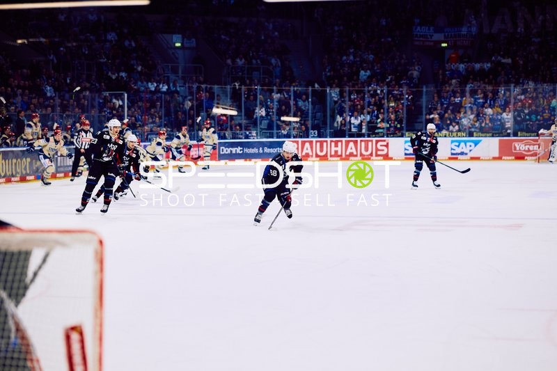 Adler Mannheim vs Schwenninger Wild Wings | 19.01.2024