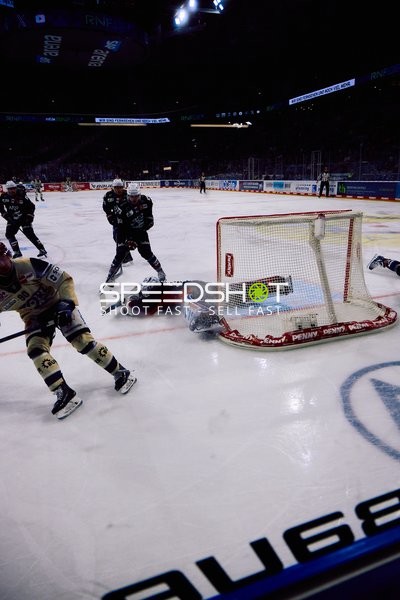 Adler Mannheim vs Schwenninger Wild Wings | 19.01.2024