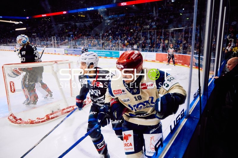 Adler Mannheim vs Schwenninger Wild Wings | 19.01.2024