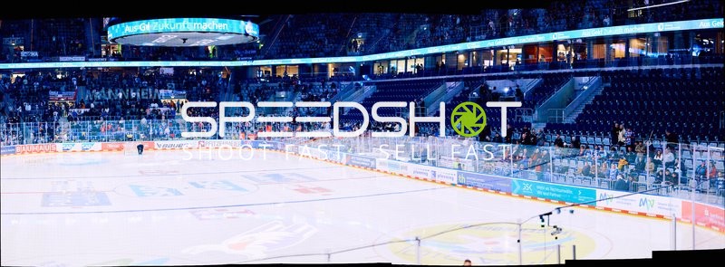 Adler Mannheim vs Schwenninger Wild Wings | 19.01.2024