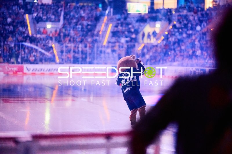 Adler Mannheim vs Schwenninger Wild Wings | 19.01.2024
