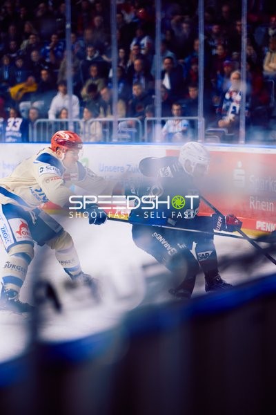 Adler Mannheim vs Schwenninger Wild Wings | 19.01.2024