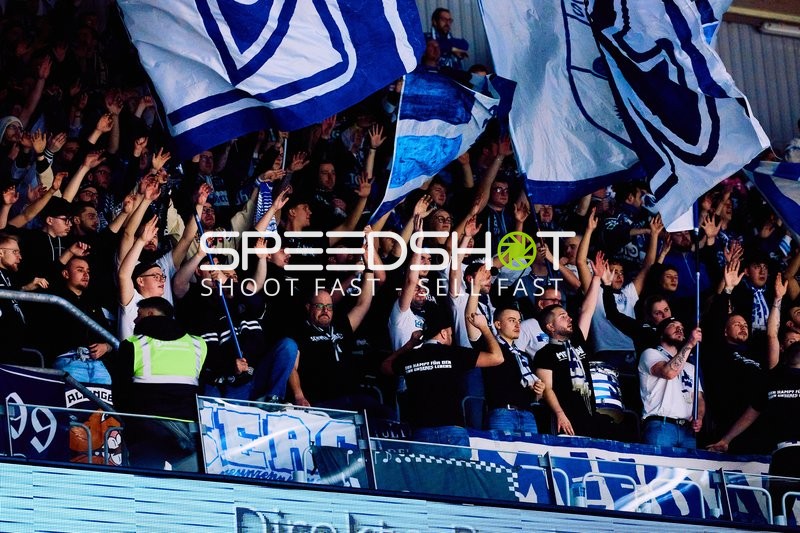 Adler Mannheim vs Schwenninger Wild Wings | 19.01.2024