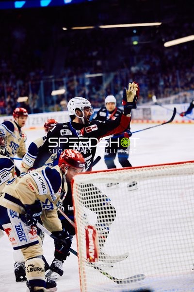 Adler Mannheim vs Schwenninger Wild Wings | 19.01.2024