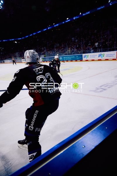Adler Mannheim vs Schwenninger Wild Wings | 19.01.2024